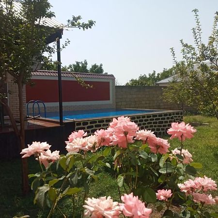 Villa Vilish Gabala Exteriér fotografie