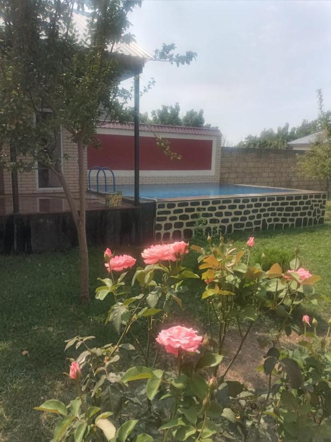 Villa Vilish Gabala Exteriér fotografie
