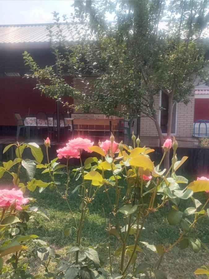 Villa Vilish Gabala Exteriér fotografie