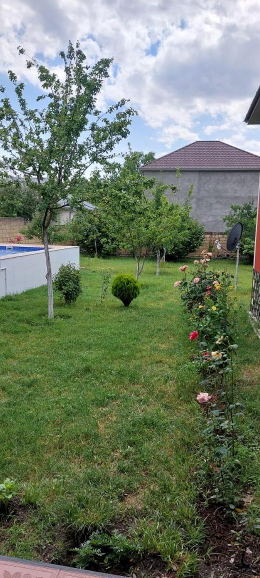 Villa Vilish Gabala Exteriér fotografie